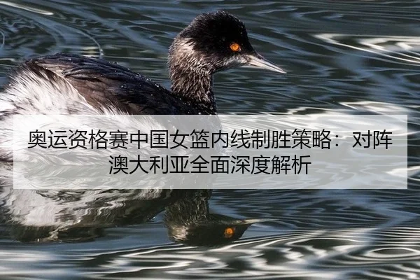 奥运资格赛中国女篮内线制胜策略：对阵澳大利亚全面深度解析