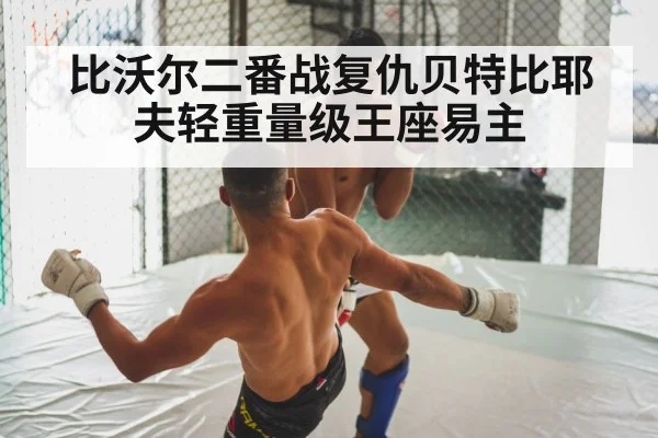 比沃尔二番战复仇贝特比耶夫轻重量级王座易主