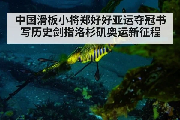 中国滑板小将郑好好亚运夺冠书写历史剑指洛杉矶奥运新征程